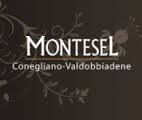 Montesel